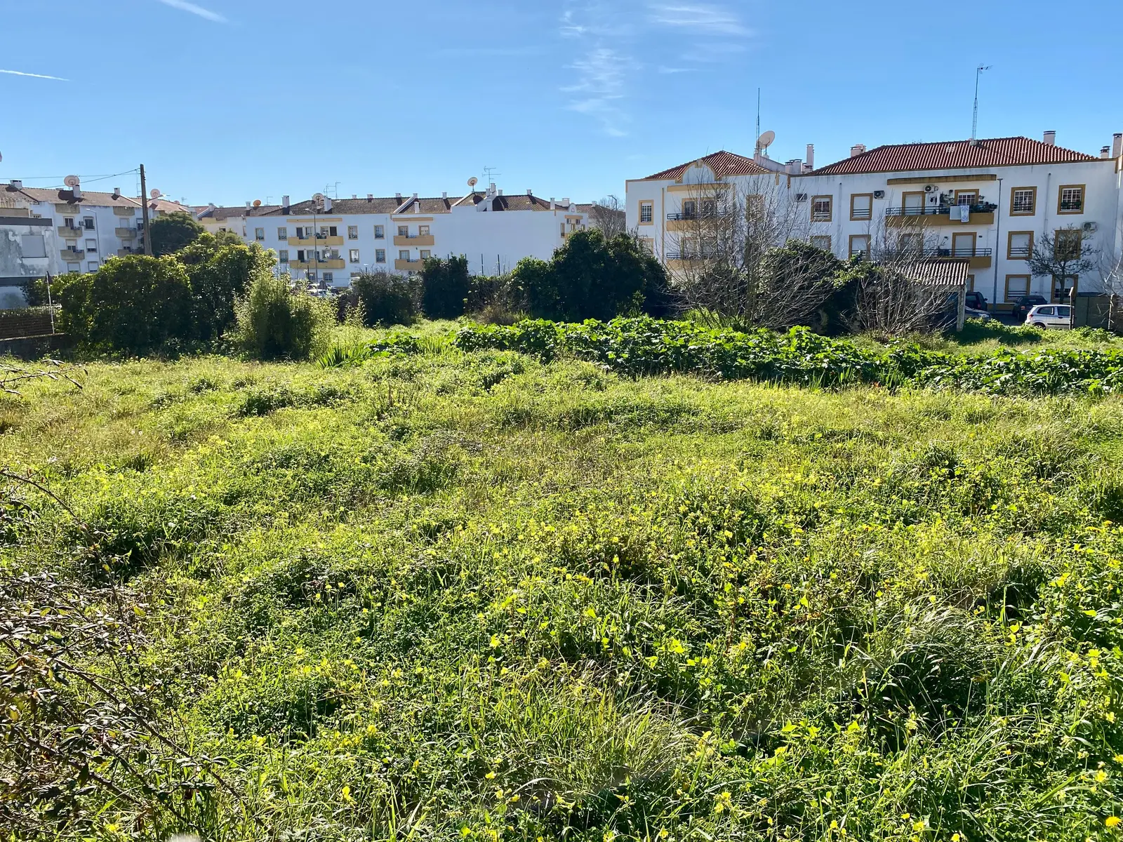Other — Vendas Novas