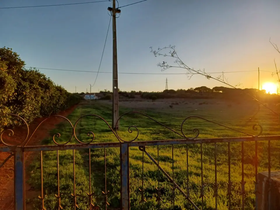 Other — Quarteira