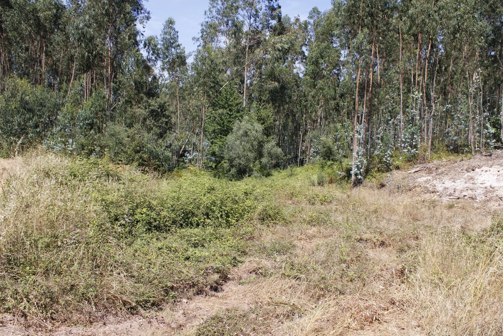 Other — Alvaiázere
