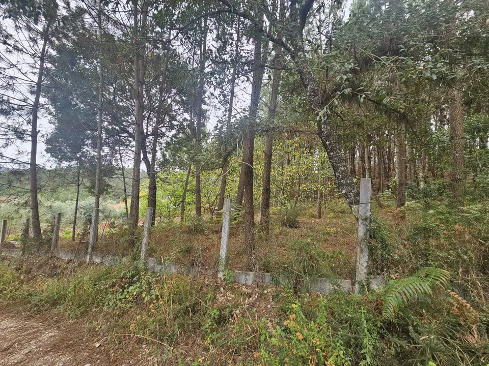 Other — Albergaria Dos Doze