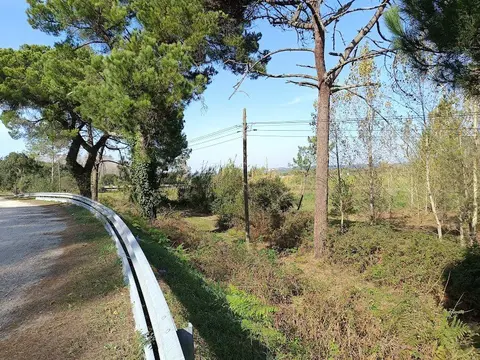 Other — Barreiros