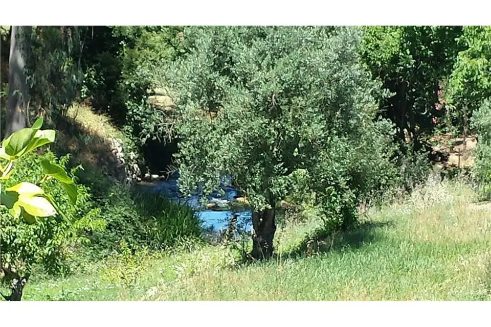 Other — Ponte Assamaça