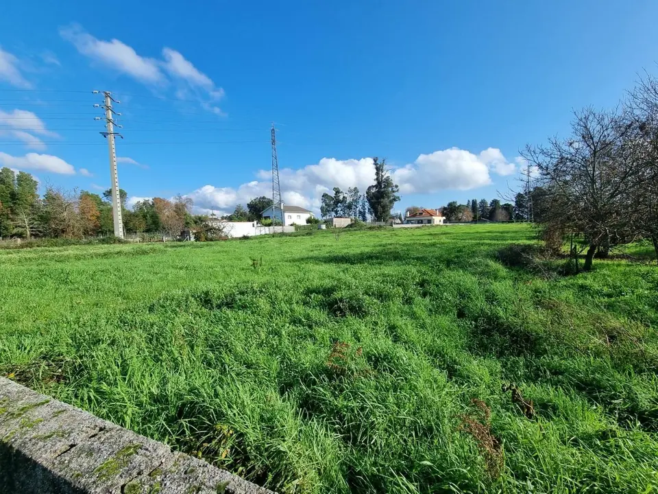 Other — Tondela