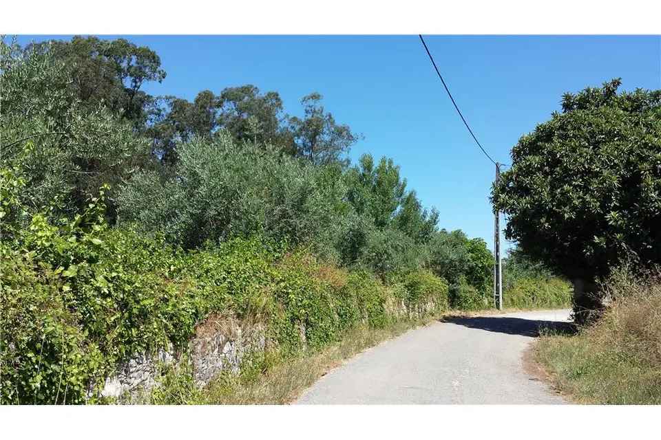 Other — Pombal