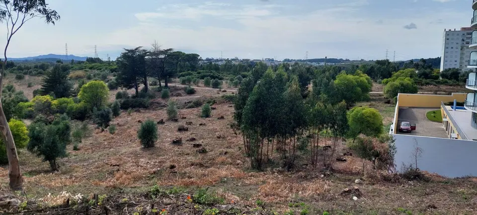 Other — Amadora