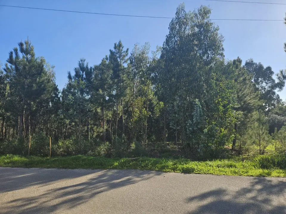 Other — Leiria