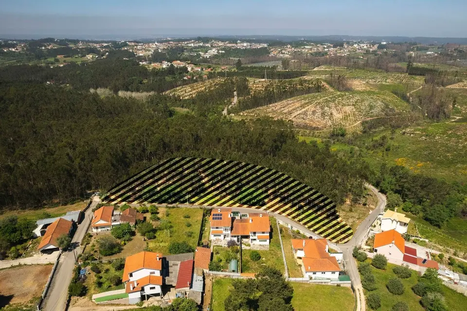 Other — Leiria