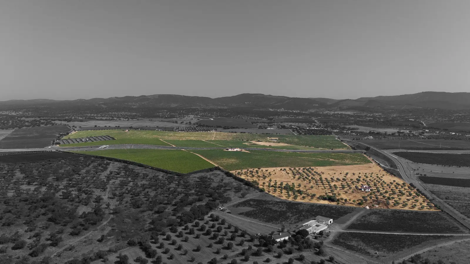 Farmhouse — Redondo