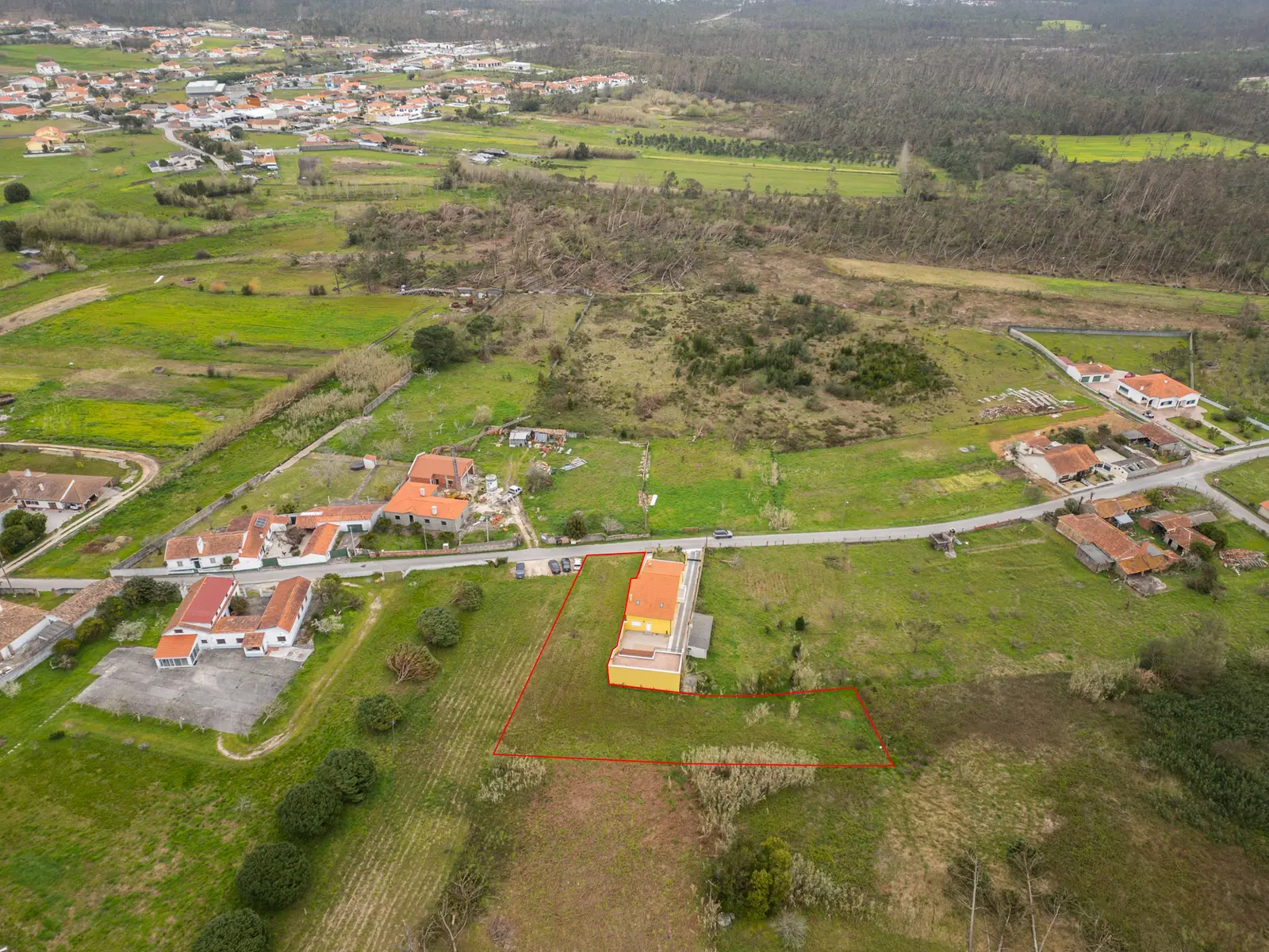 Other — Coimbrão