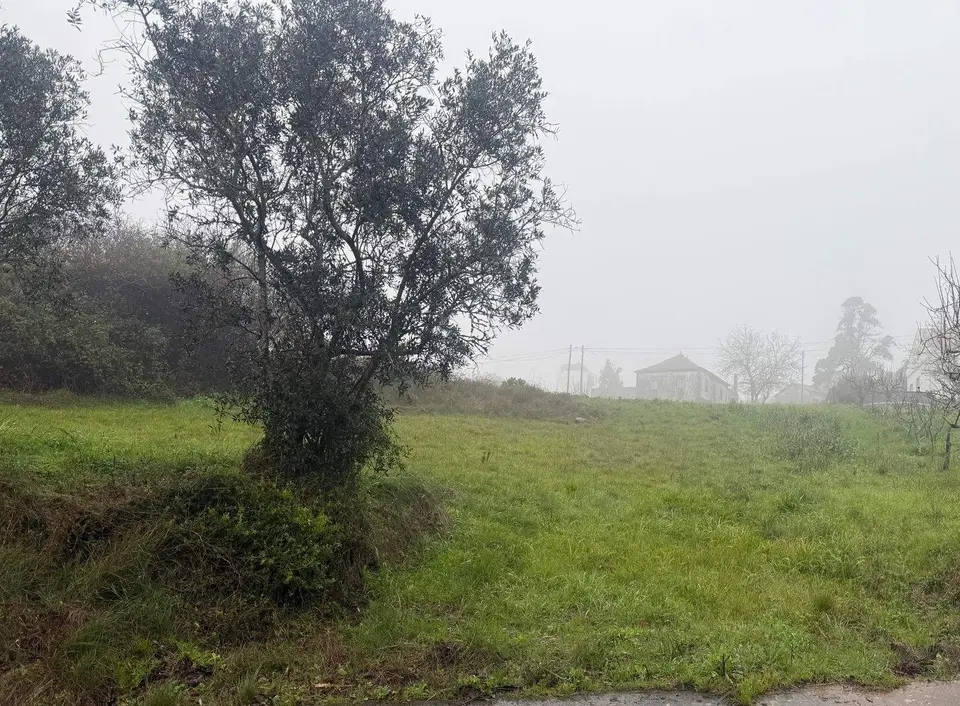 Other — Santa Catarina Cld